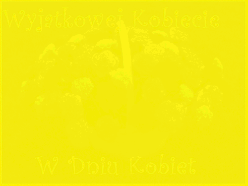 Kwiaty zebrane w ogrodzie na dzień kobiet